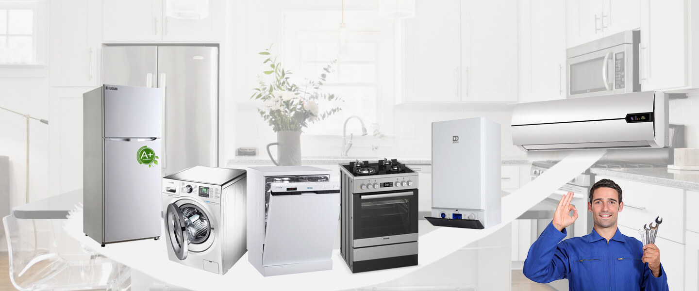 Şile Gorenje Servisi